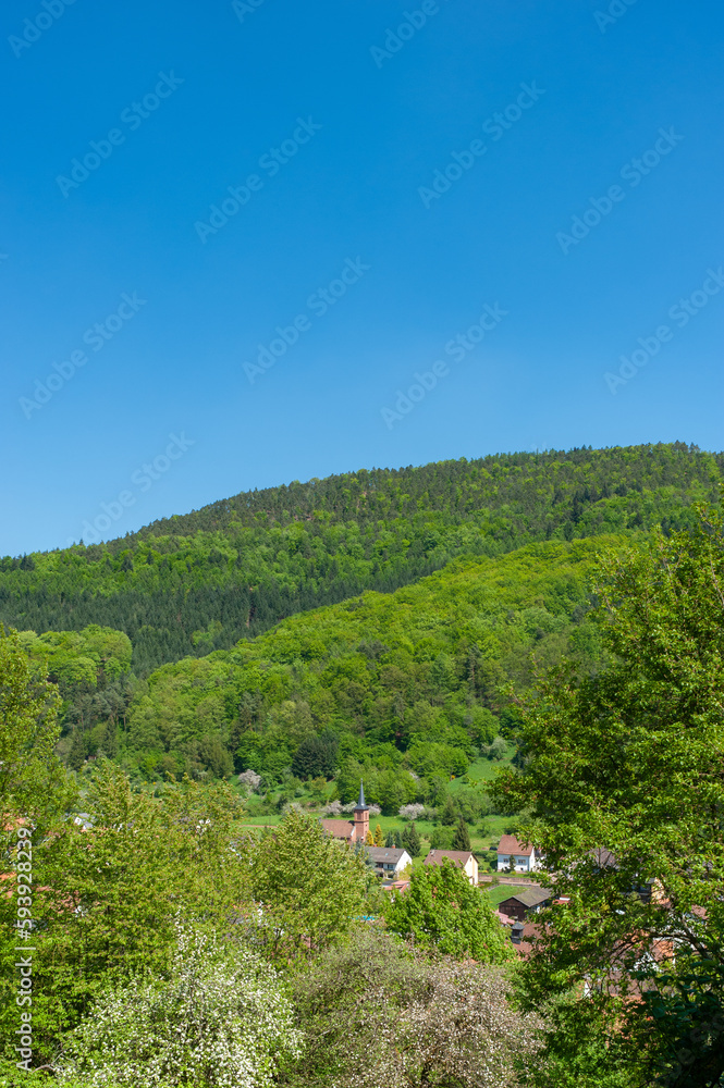Landschaft im Naturpark Pfälzerwald und Dorfbild von Eußerthal mit der ehemaligen Klosterkirche. Region Pfalz im Bundesland Rheinland-Pfalz in Deutschland