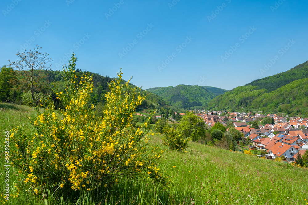 Landschaft im Naturpark Pfälzerwald und Dorfbild von Eußerthal mit der ehemaligen Klosterkirche. Region Pfalz im Bundesland Rheinland-Pfalz in Deutschland