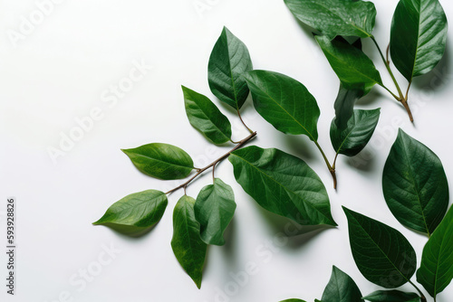 Green Leaves On White Background. Generative AI