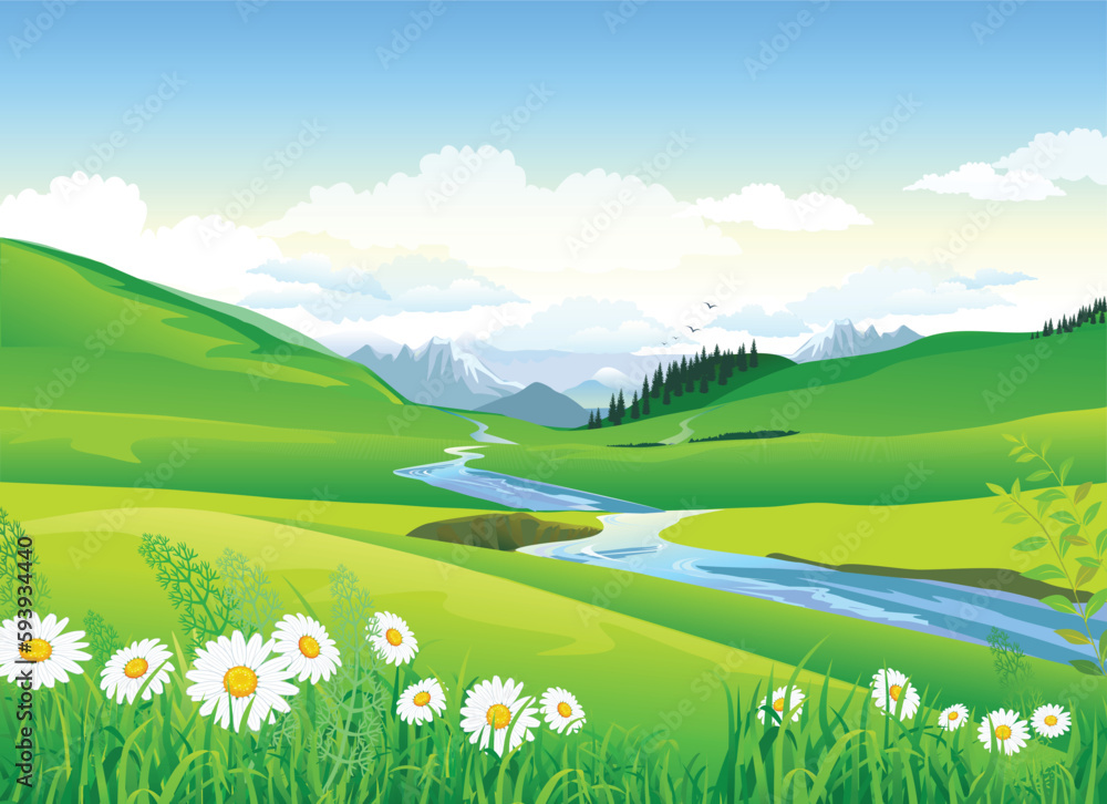 Fototapeta premium Spring summer landscape of mountains and river valleys. Wild flowers chamomile background postcard. Vector illustration