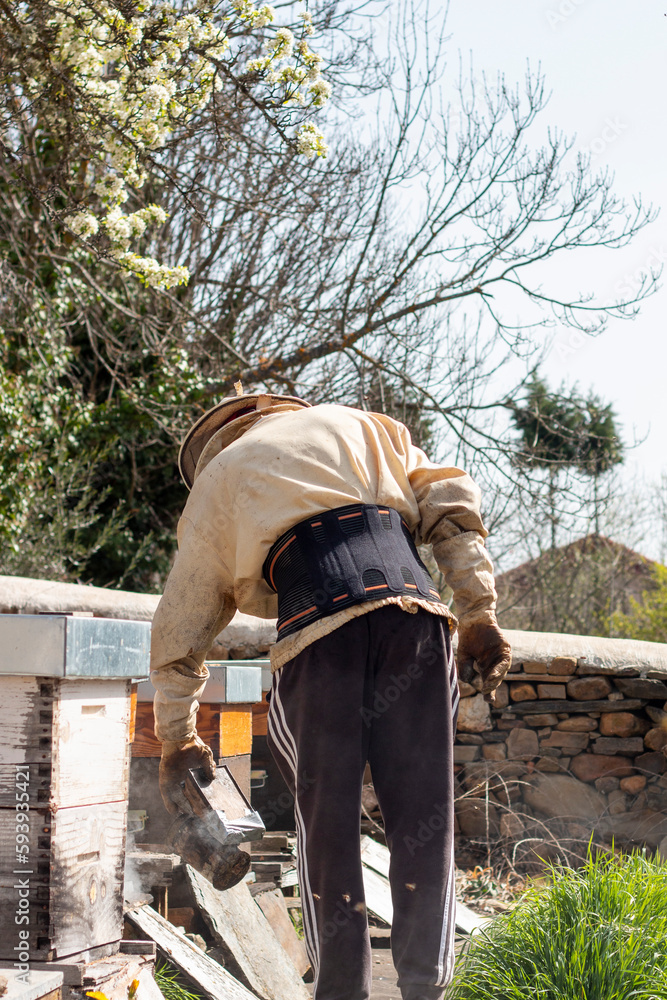 Beekeeping smoker. The beekeeper lighting it with different fuels and applying the smoke in the hives Beekeeping smoker. The beekeeper lighting it with different fuels and applying the smoke in the hives