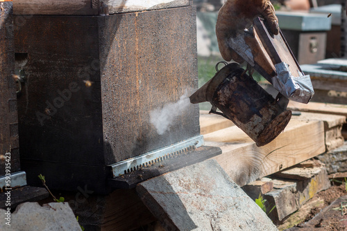 Beekeeping smoker. The beekeeper lighting it with different fuels and applying the smoke in the hives