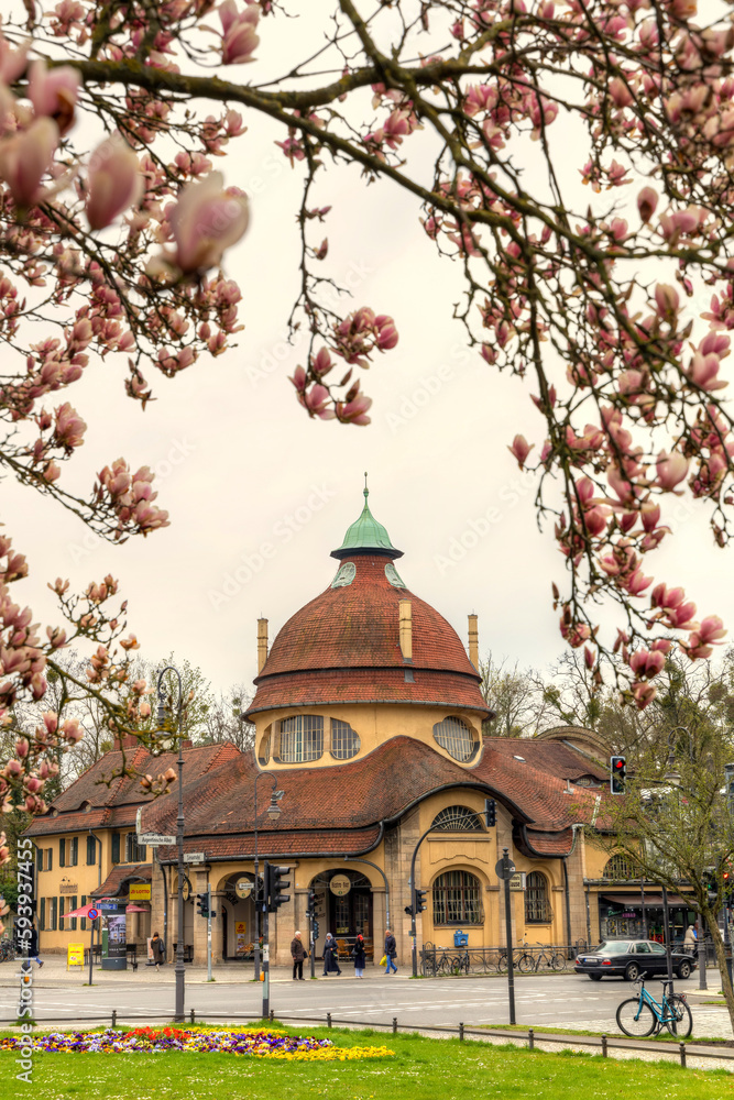 Mexikoplatz mit Magnolienblüte