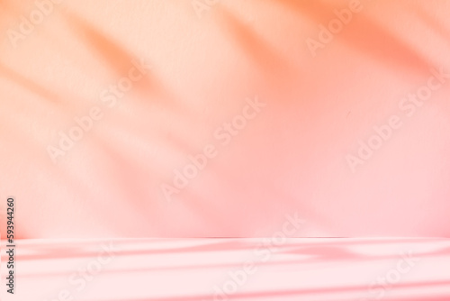 Abstract pink color gradient studio background for product presentation. Empty room with shadows of window and flowers and palm leaves . 3d room with copy space. Summer concert. Blurred backdrop.
