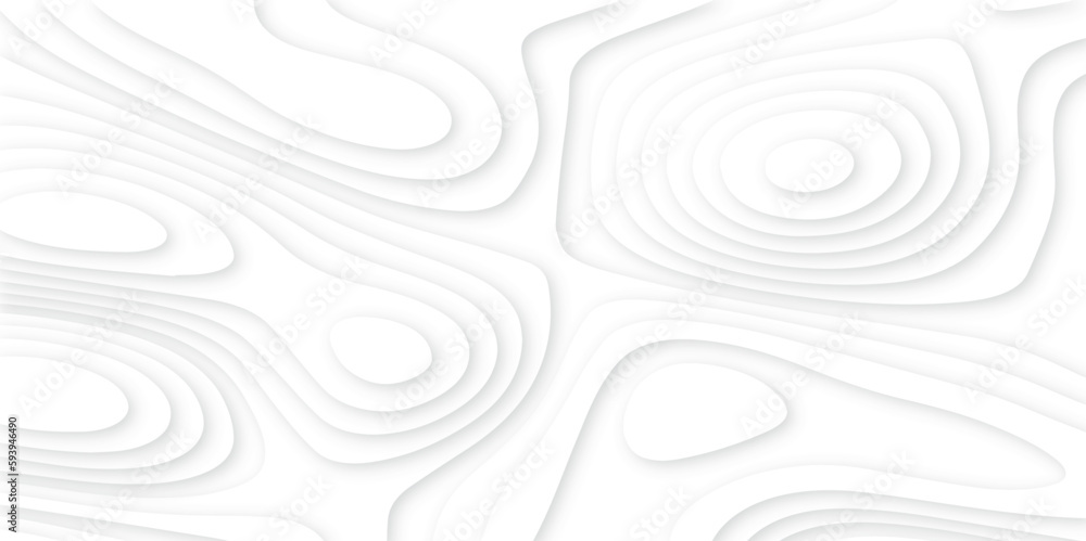 Abstract 3d wavy line paper cut white background .realistic papercut decoration textured with wavy layers.3d Topographic canyon geometric map relief texture with curved layers and shadow. Abstract 3d wavy line paper cut white background .realistic papercut decoration textured with wavy layers.3d Topographic canyon geometric map relief texture with curved layers and shadow.