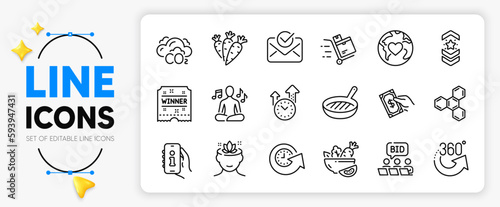 Pay money, Online auction and Approved mail line icons set for app include Yoga mind, Inventory cart, 360 degrees outline thin icon. Support, Yoga music, Chemical formula pictogram icon. Vector