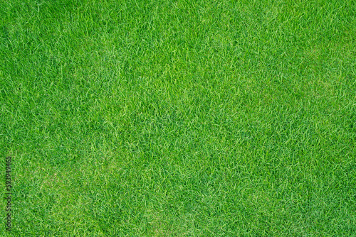 Artificial grass field meadow green. Top View Texture.