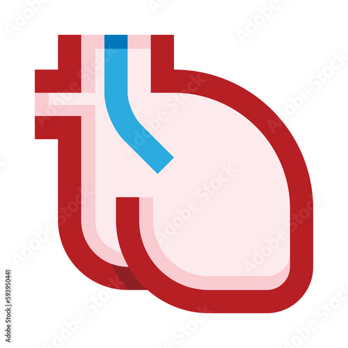 Heart (Organ)