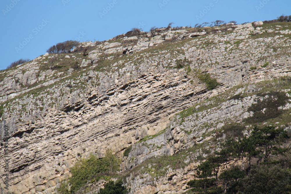 The Sloping Rock Beds of a Large Coastal Cliff Face.