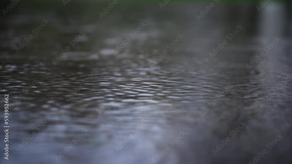 raindrops on water in the spring forest. Close-up. raindrops on water in the spring forest. Close-up.