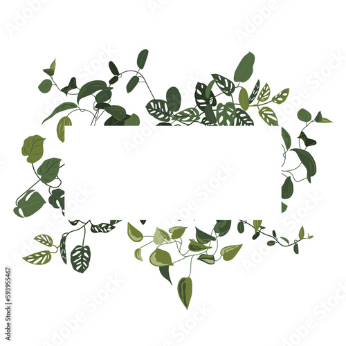 Trendy tropical leaves of different creepers or lians with rectangle of white sheet. Card with exotic leaves frame.