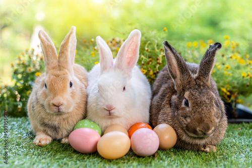 Group of three cute little three brown and white hare rabbit sitting on green grass with natural bokeh as background, with multiple colorful easter eggs while looking away © TeTe Song