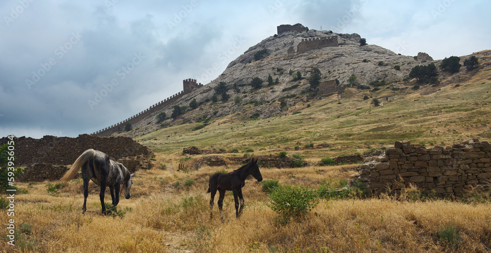 Ancient Sudak fortress in summer. City of Sudak Crimea.