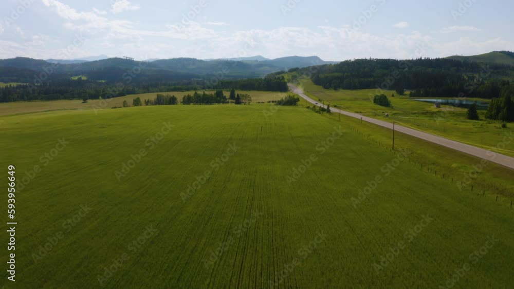 Aerial view of farm fields in the scenic Alberta countryside. Aerial view of farm fields in the scenic Alberta countryside.
