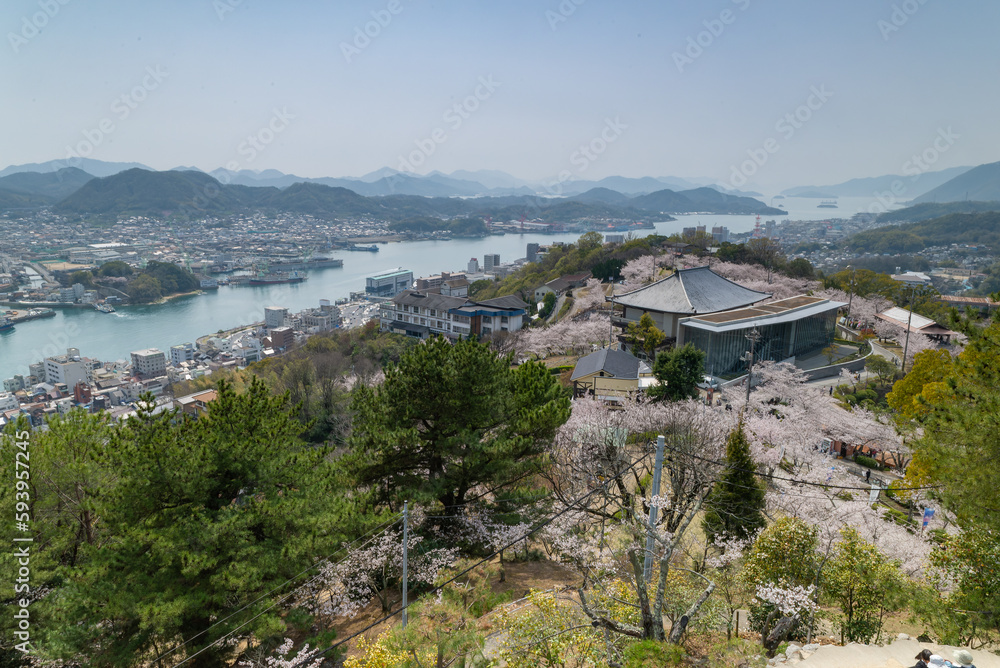 桜の咲く広島県尾道市の風景