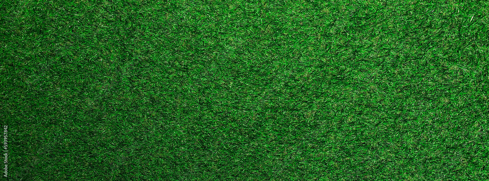 Top view Green grass texture background. Panoramic web banner or wallpaper with copy space. Top view Green grass texture background. Panoramic web banner or wallpaper with copy space.