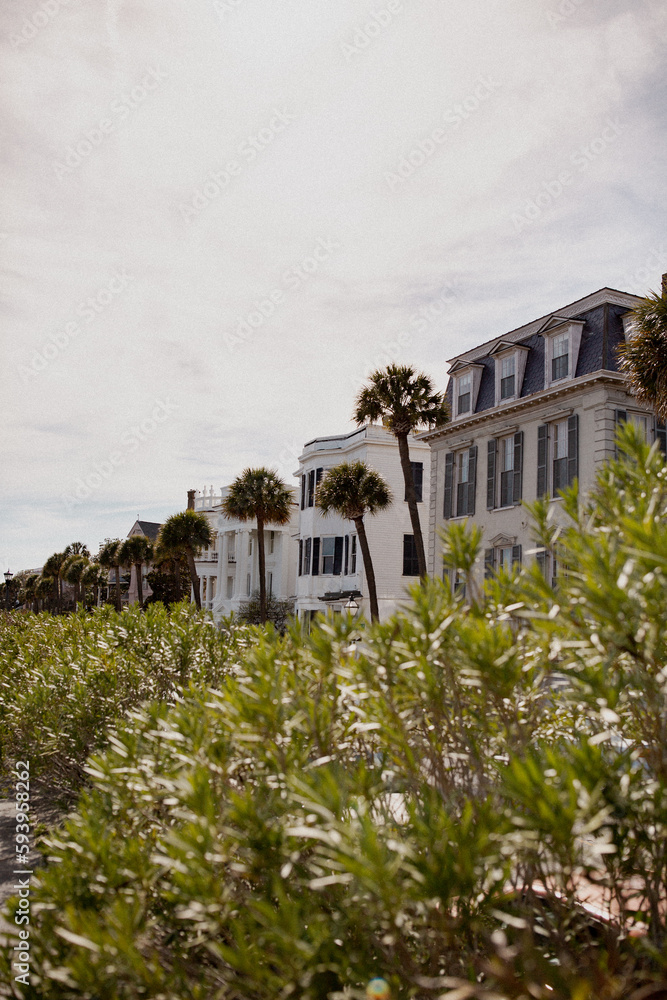 Charleston South Carolina row of houses on beach southern charm