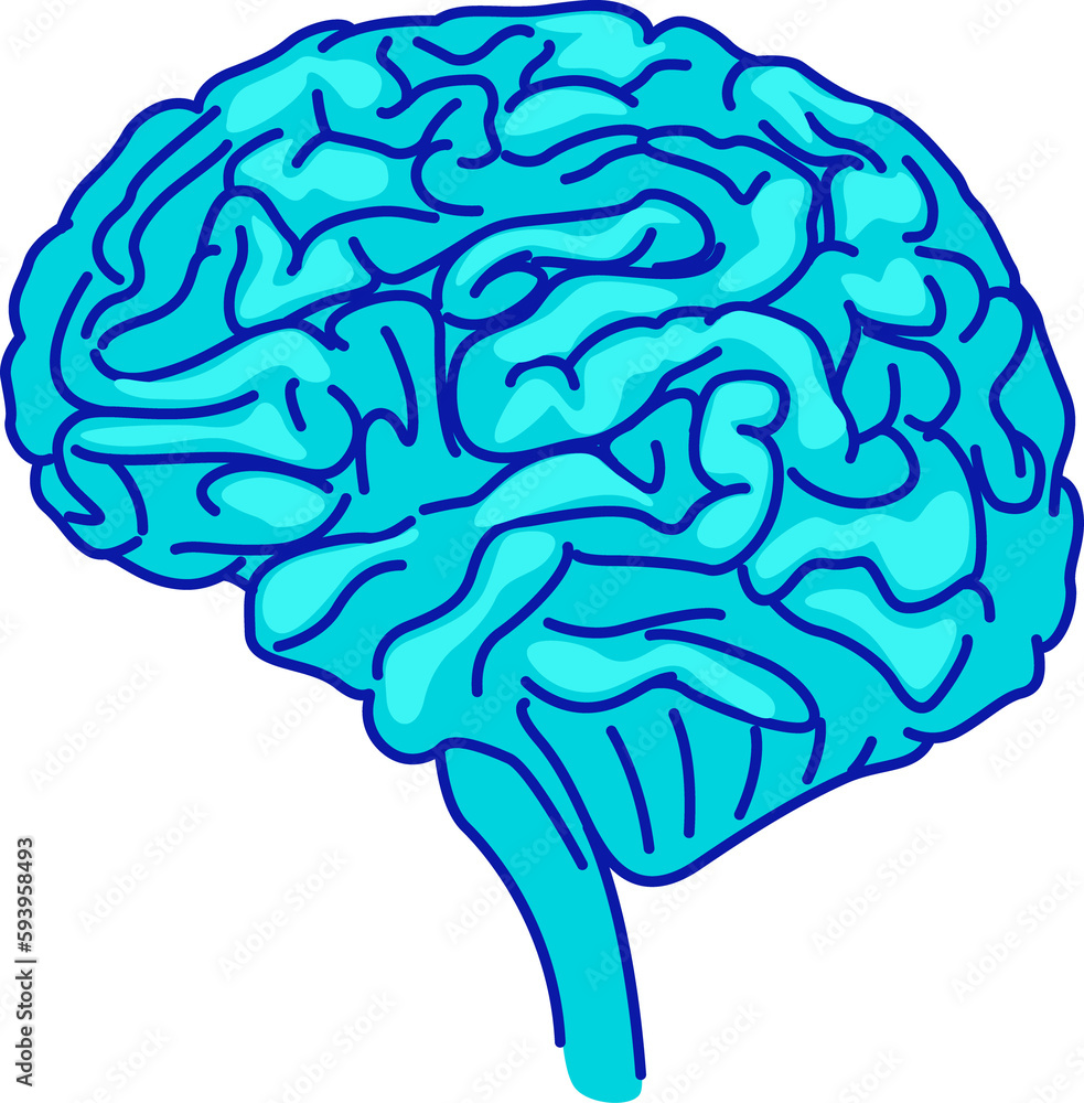 Human brain semi flat color raster element. Full sized object on white. Nervous system central organ. Human anatomy simple cartoon style illustration for web graphic design and animation Human brain semi flat color raster element. Full sized object on white. Nervous system central organ. Human anatomy simple cartoon style illustration for web graphic design and animation