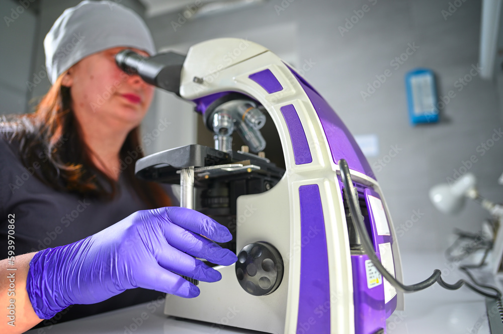 A laboratory female worker in blue gloves looks into a microscope and examines fragments of tissue. Examination under microscope. Test sample under the microscope in laboratory. Microbiology research A laboratory female worker in blue gloves looks into a microscope and examines fragments of tissue. Examination under microscope. Test sample under the microscope in laboratory. Microbiology research