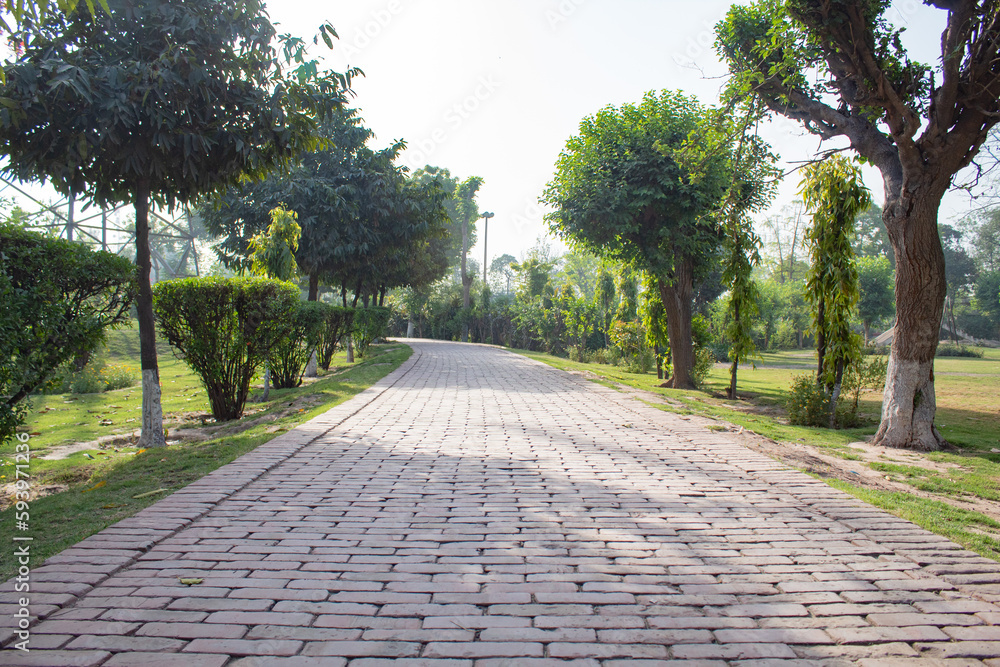 Brick walkway in a garden surrounded by plants on both sides Brick walkway in a garden surrounded by plants on both sides