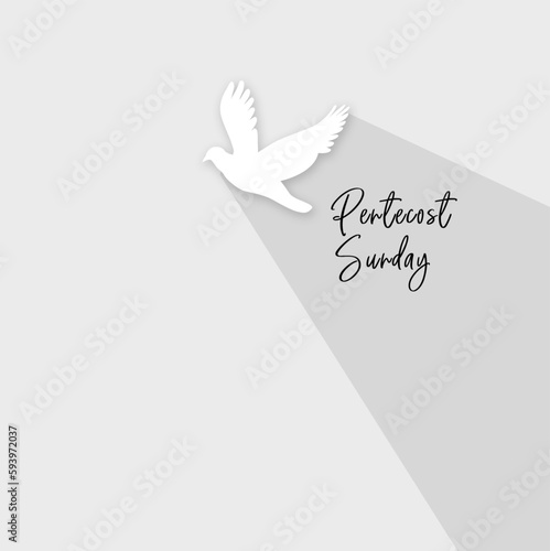 Pentecost sunday banner with dove. Invitation the christian service of pentecost with Holy Spirit and text. Vector illustration