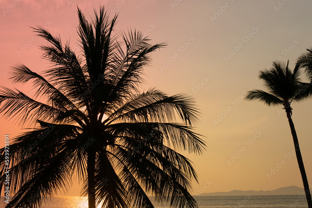 Silhouette coconut palm tree on sea and sunset sky background