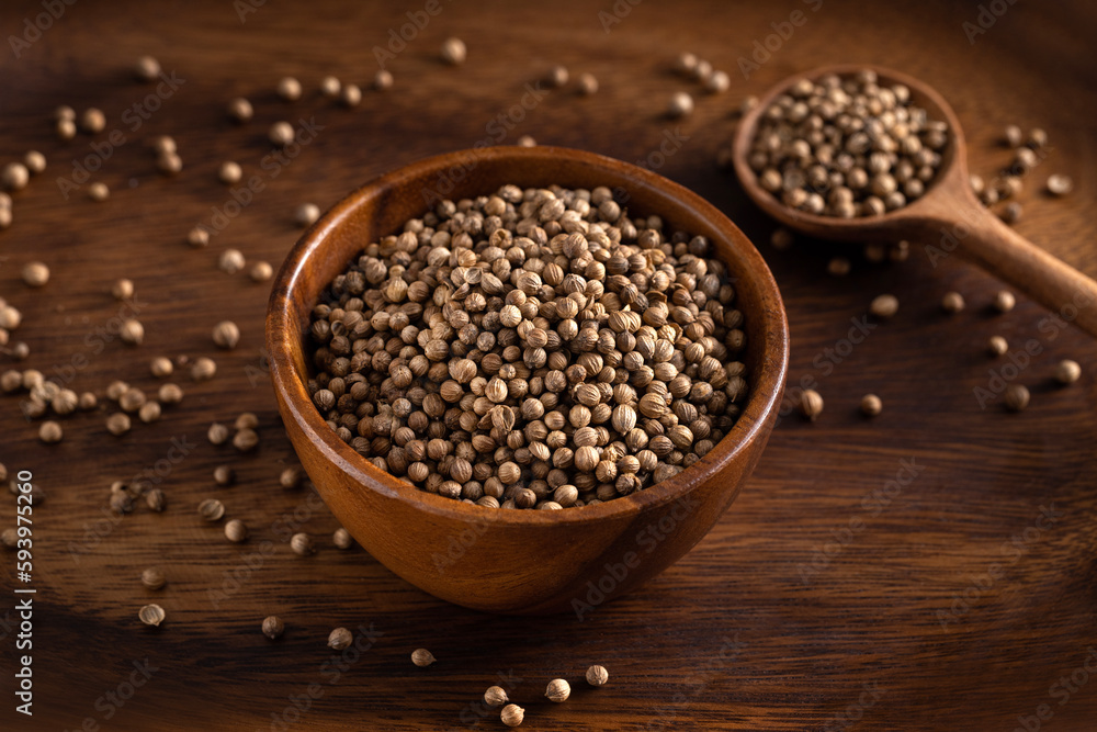 Uncooked coriander seeds bowl. Studio shoot isolated on rustic background. Coriander seeds spread on dark background. 45 degree shoot. Uncooked coriander seeds bowl. Studio shoot isolated on rustic background. Coriander seeds spread on dark background. 45 degree shoot.