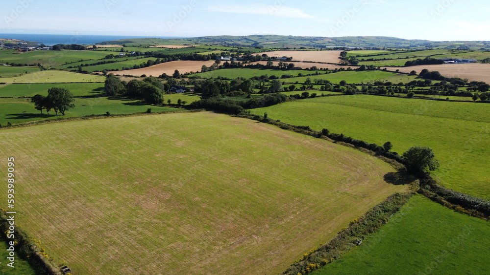 Green farm fields separated by shrubs, top view. Cattle pastures in the south of Ireland. Agricultural landscape, nature.