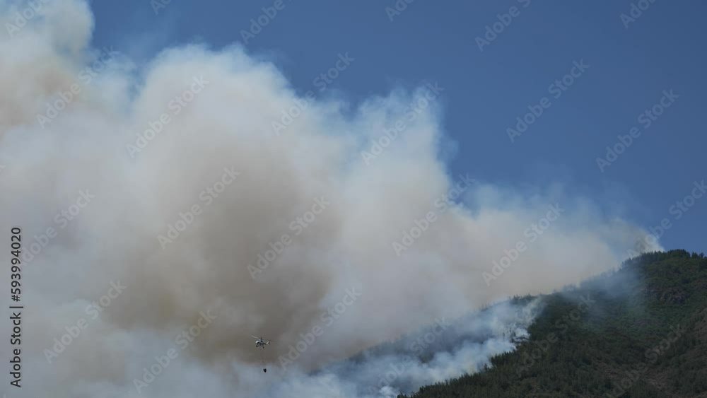 The smoke of the fire. Ecology. Global warming and climate change. Flames and smoke from wildfires cover the landscape. Apocalyptic landscape. The smoke of the fire. Ecology. Global warming and climate change. Flames and smoke from wildfires cover the landscape. Apocalyptic landscape.