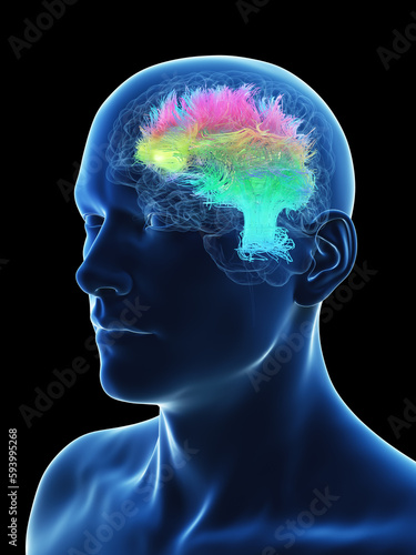 3d illustration of a man's brain matter