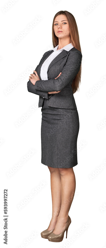Portrait of a young businesswoman on background Portrait of a young businesswoman on background