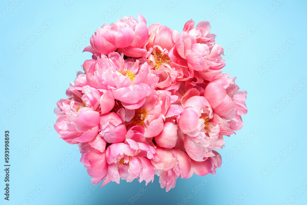 Bunch of beautiful peonies on turquoise background, top view