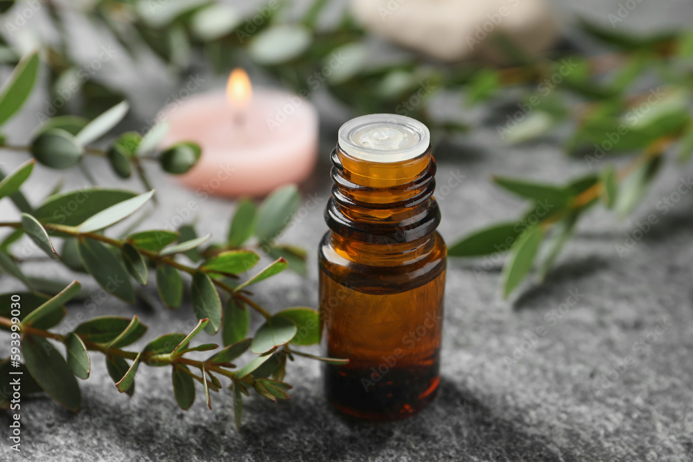 Bottle of eucalyptus essential oil and plant branches on grey table Bottle of eucalyptus essential oil and plant branches on grey table