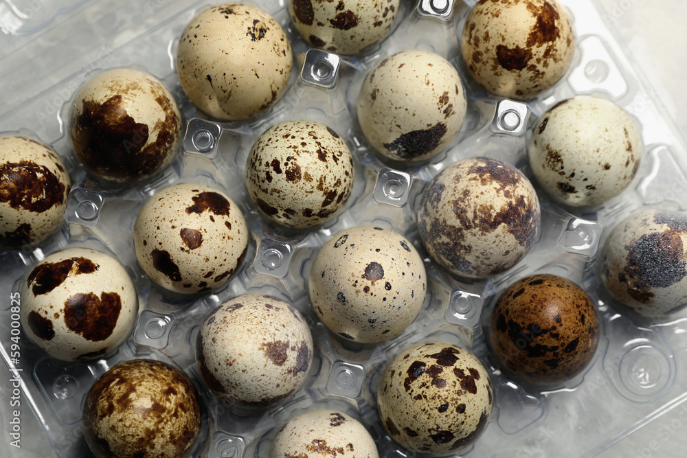 Plastic container with speckled quail eggs on table, top view Plastic container with speckled quail eggs on table, top view
