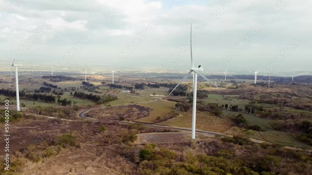 Aerial video of electric windmills in the field covered with trees and green grass Aerial video of electric windmills in the field covered with trees and green grass