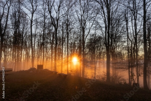 A misty morning in a forest in the town of Solothurn  located Wisen municipality of Switzerland