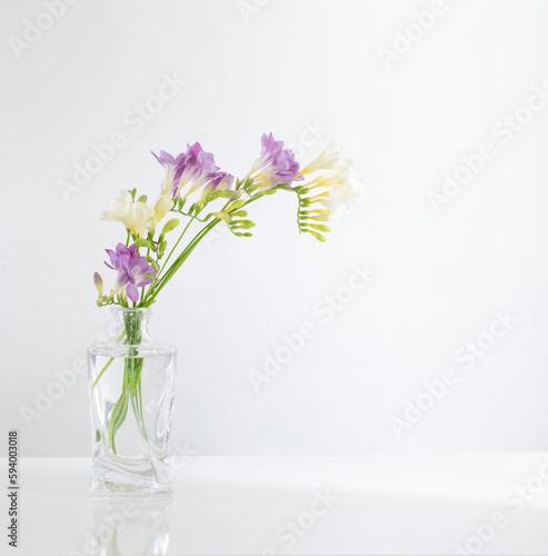 freesia in glass vase on white background