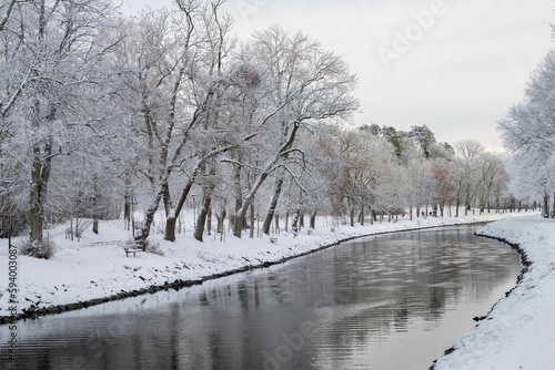 Tranquil winter scene featuring a river surrounded by snow-covered trees