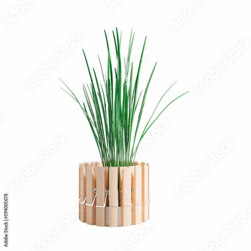 3d illustration of a decorative plant isolated on a white background