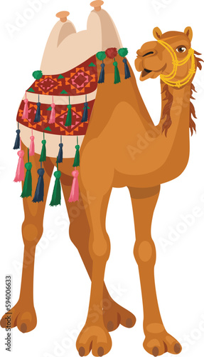 Decorated camel with seat for riding.