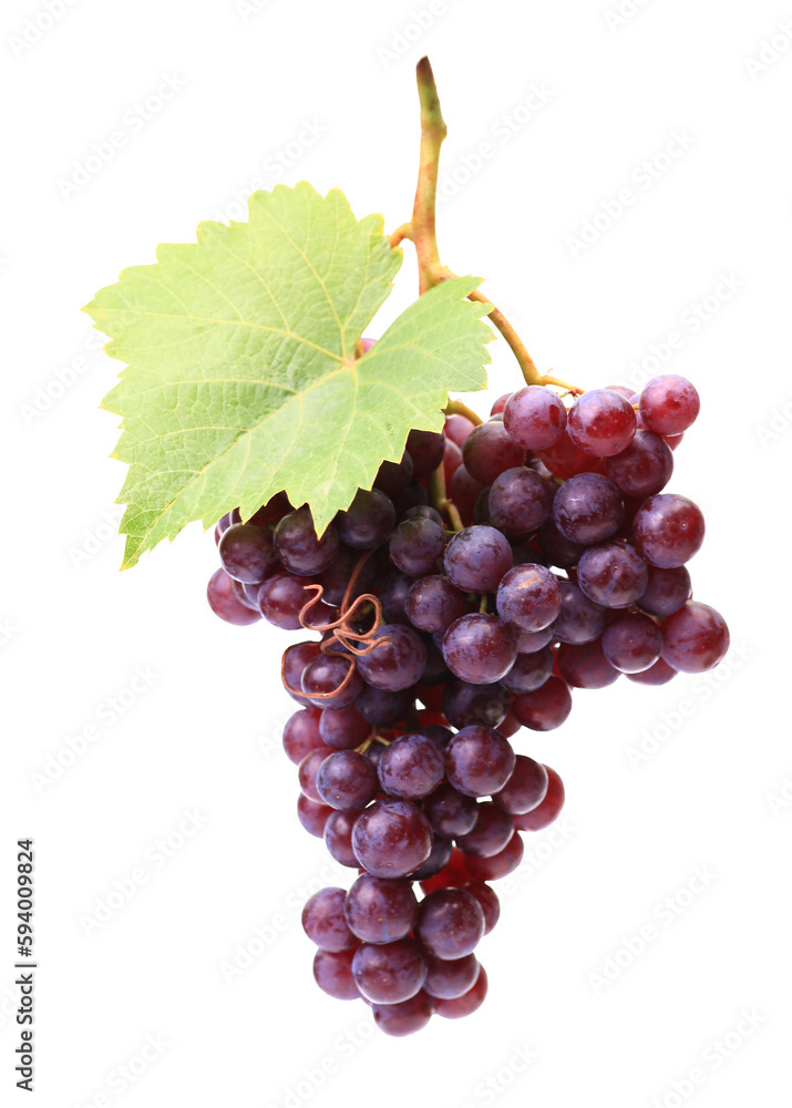 Fototapeta premium Bunch grape isolated 