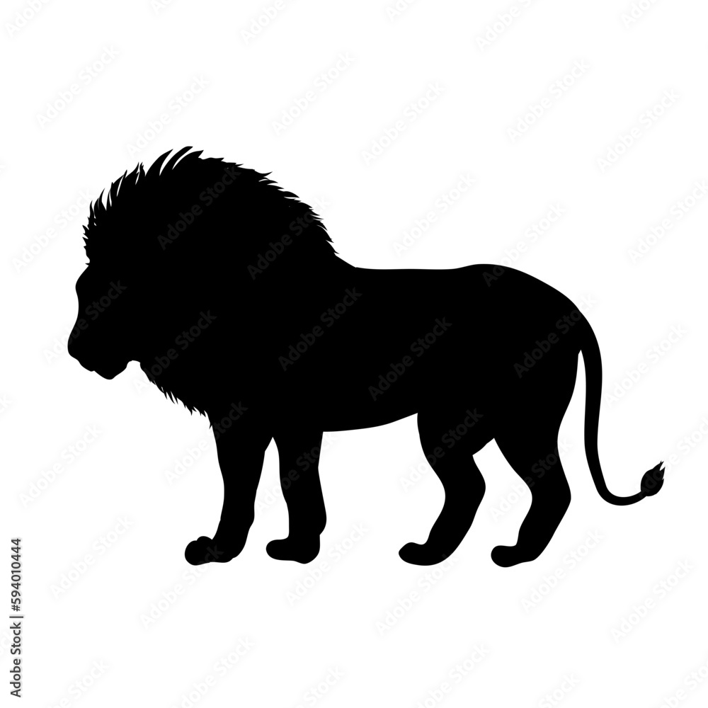 silhouette of a lion