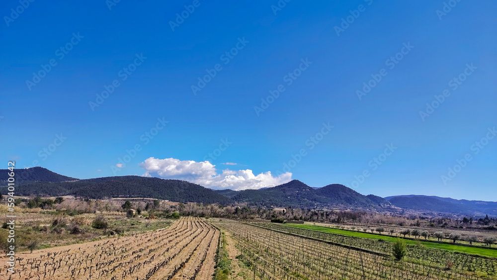 paysage de vignes et de montagnes dans le Vaucluse