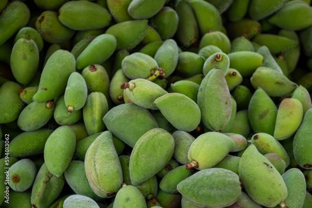 fresh green almonds in shell, almond pile fresh green almonds in shell, almond pile