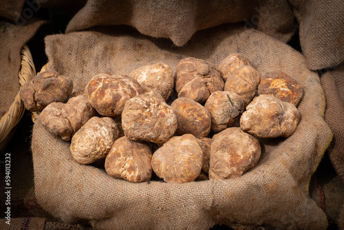 truffle, pile of truffles on farmers market photo