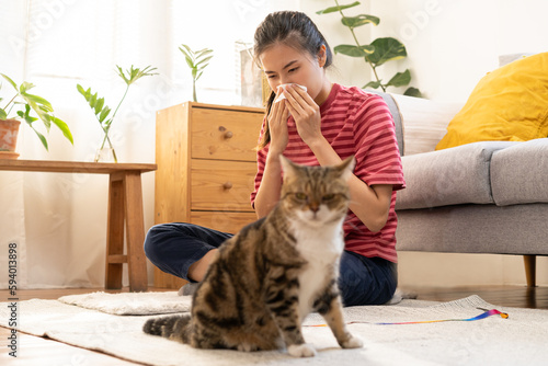Asian young woman, girl hand in sneezing from fur allergy while playing with her lovely cat, pet on carpet in living room at home, apartment. Health care rhinitis diseases allergic to animal hair.