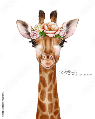 Photography Baby giraffe