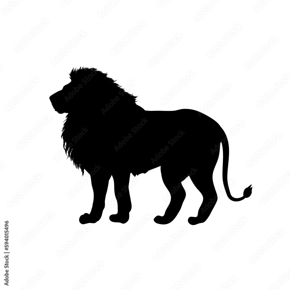  silhouette of a lion