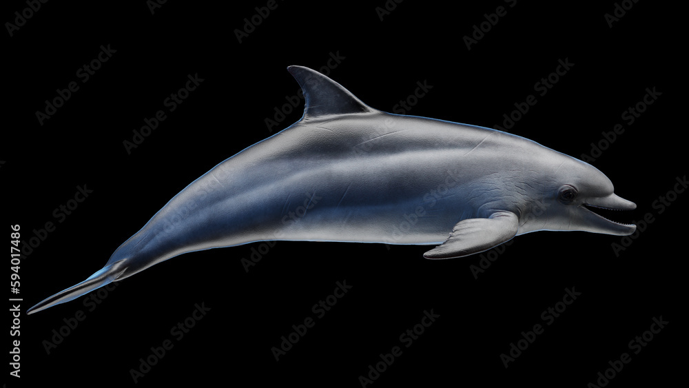 Obraz premium 3d illustration of a dolphin