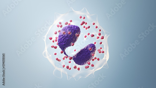 3d illustration of an eosinophil photo